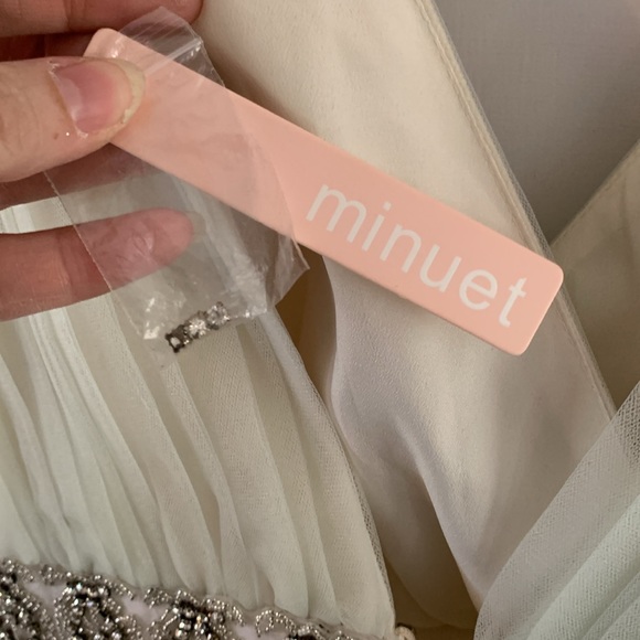 Minuet light green pleated organza dress with beaded waistband Size Large - Picture 9 of 11